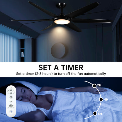 BreezeLite Modern 65" Matte Black LED Ceiling Fan