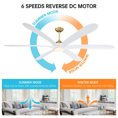 VelvetFan Modern 72" Gold LED Downrod Mount Ceiling Fan