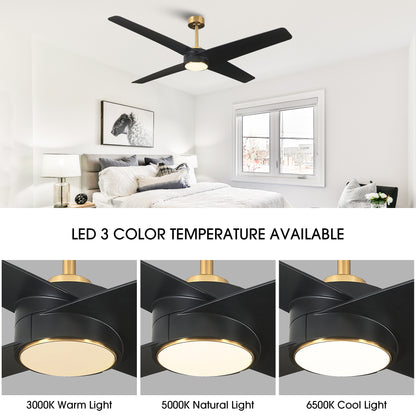 BreezeLite Modern 60" Gold and Black LED Ceiling Fan