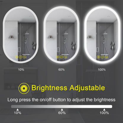 BrightView 20x32" Oval Frameless LED Anti-Fog Dimmable Bathroom Vanity Mirror