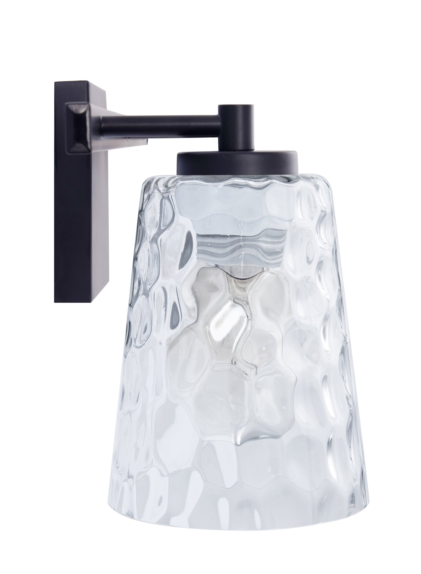 Radiance Modern 2-Light Black Vanity Light