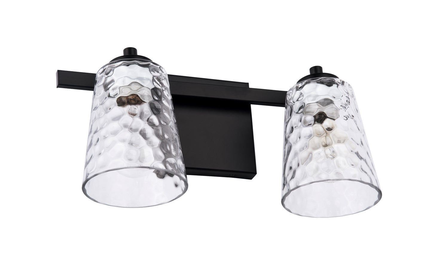 Radiance Modern 2-Light Black Vanity Light