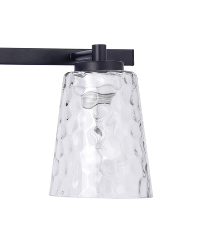 Radiance Modern 2-Light Black Vanity Light