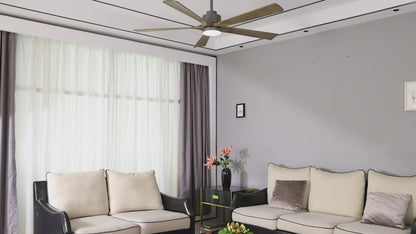 AeroBlade 60" 5-Blade 6-Speed Natural & Charcoal Ceiling Fan with Light